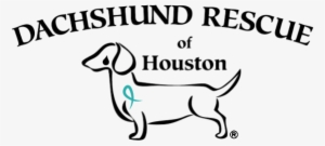 Dachshund Rescue Of Houston