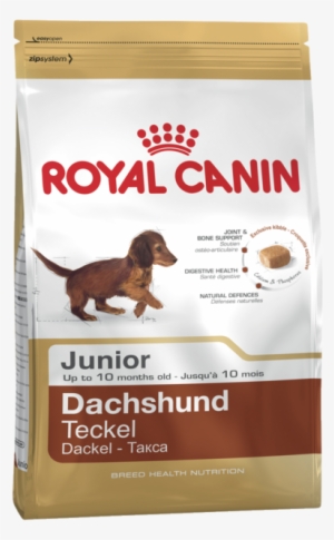 Dachshund 28 Adult Product Bag - Royal Canin