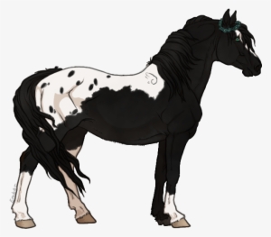 Ｎａｍｅ ；； Paint With All The Colors "pocahontas" Ｂｒｅｅｄ - Seal Bay Horse Sabino