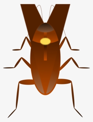 Cucaracha