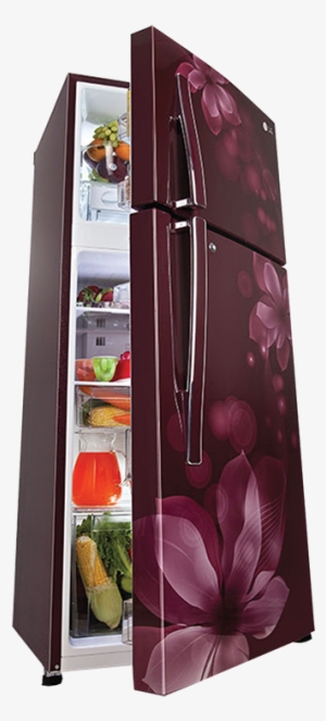 The Refrigerator Market In India Is Growing And Is - Lg Fridge Price In Sri Lanka