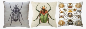 Www - Bohohome - Com @bohosusan - Beetle Hook Pillow, Throw Pillows,wool, Cotton,