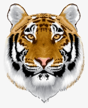 White Tiger Head Png - Tiger Head Image In Png