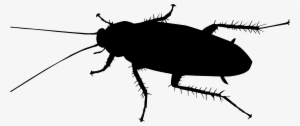 Cellphone Clipart - Black And White Cockroaches
