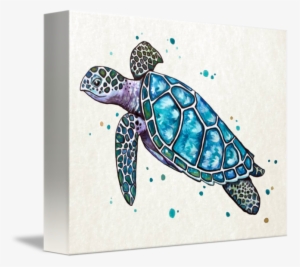 Banner Freeuse Drawing Turtle Watercolor - Teal Watercolor Sea Turtle