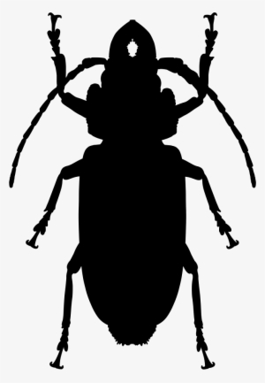 Cockroach Shape Comments - Icon