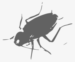 Learn More - Cockroach Png Vector