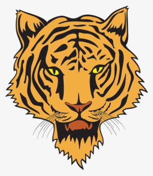 head, color, wild, tiger, dangerous, animal, danger - kepala macan vector png