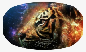 Flaming Tiger Head 9973 Pcdanicapng - Jiuduidodo Custom Best Gifts Cool Tiger Nylon Waterproof