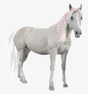 Hand Painted A White Horse Png Transparent - Portable Network Graphics