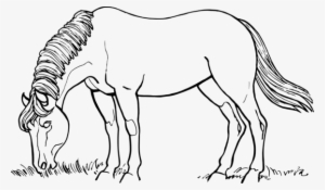 Horse Drawing Black And White Black And White - Horse Clip Art Black And White