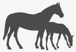 Performance Horse - Mare And Foal Silhouette