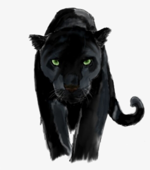 Panther Png Background Image - Panther Png