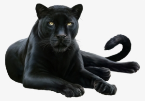 Panther Png Hd - Panther Png