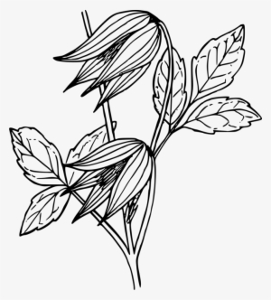 Library Black And White Leather Flower Computer Icons