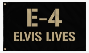 Company Flag E-4 Elvis Lives - United States Vs. German Equipment Hq: As Prepared