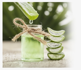 In Fact, Aloe Vera Gel Contains Over 200 Active Vitamins, - Inside Cactus Water