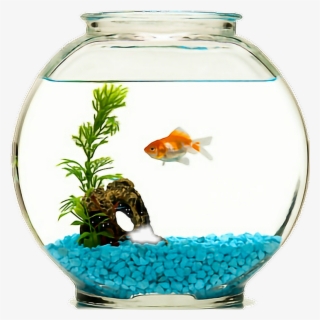 Fish Sticker - Goldfish Bowl