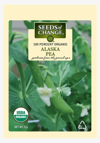 Organic Alaska Shell Pea Seeds - Usda Organic