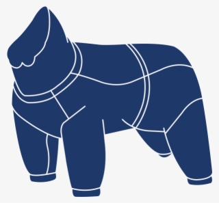 Rukka Dog Jacket