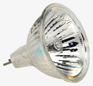 $29 - - headlamp
