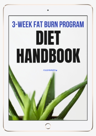Diet Handbook Here You Will Find A Detailed Step By - Aloe Vera Best