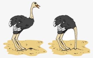 Ostrich - Ostrich Head In Sand Cartoon