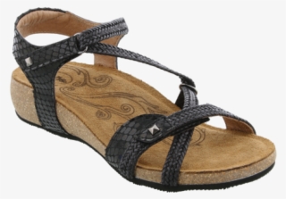Ziggie Blacksnake 01 - Taos Women's Ziggie