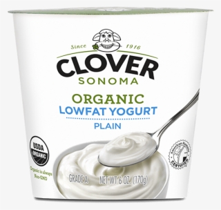 Organic Low Fat Plain Yogurt - Whipped Cream