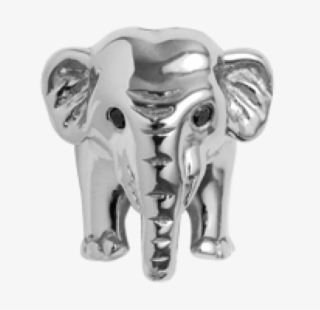 Elephant Silver Charm - Charm Bracelet