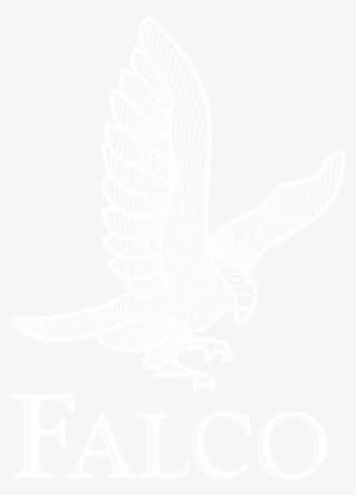 Falco Archery Usa - Red Shouldered Hawk