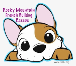 Rocky Mountain French Bulldog Rescue - French Bulldog