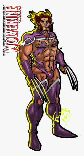 Wolverine Invisible Woman Costume Wolverine Robin Costume - Wolverine