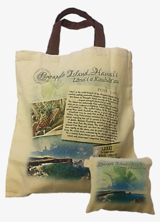 Hbb-170 Bag In Bag - Tote Bag