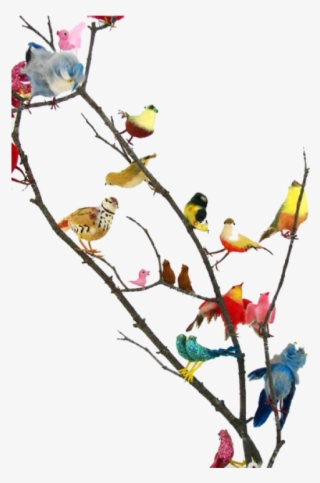 Free Png Download Vintage Bird Png Images Background