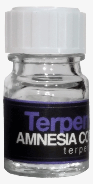 Amnesia Core Cut - Cosmetics