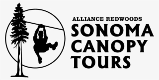 Sonoma Canopy Tours And Zipline Adventure Through Redwood - Illustration