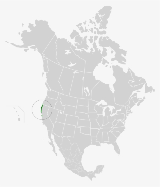 Northern California Coastal Forests - Sonoran Desert On North America Map