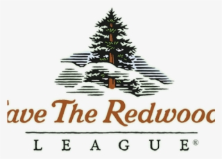 Fir Tree Clipart California Redwood - Save The Redwoods League