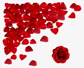 Red Flowers Png - Roses Petals Falling Png