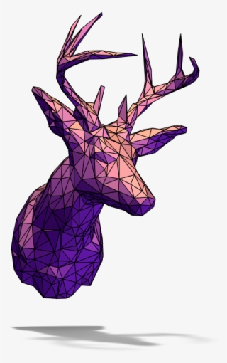 Deer Head - Illustration