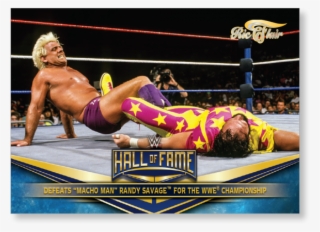 Gallery - Wwe Hall Of Fame