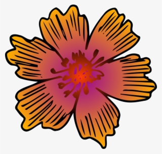 Chrysanthemum Floral Design Flower Symmetry - Barberton Daisy