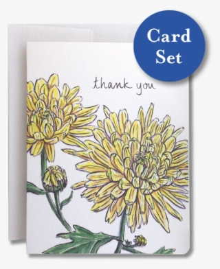 Chrysanthemum Thank You Card Set Of - Chrysanths