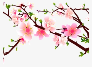 Cherry Tree Clipart Pomegranate - Cherry Blossom And Bird Vector