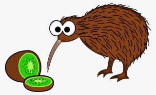 Porcupine Clipart Anmal - New Zealand Kiwi Bird Cartoon