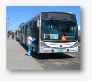 Diesel Particle Filter Program For Buses Of Public - Airport Bus