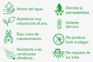 ¿por Qué Tener Pasto Sintético - Circle