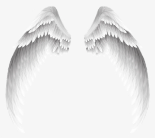 White Wings Swirls Decor Decoration Icon Icons Overlay - Flight Of Broken Wings