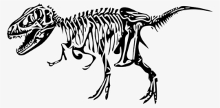 Clipart Black And White Library Clipart Dino Free On - Esqueleto Dinossauro Png
